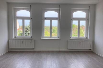 Helle Zweizimmerwohnung - renoviert! - Leipzig Altwest