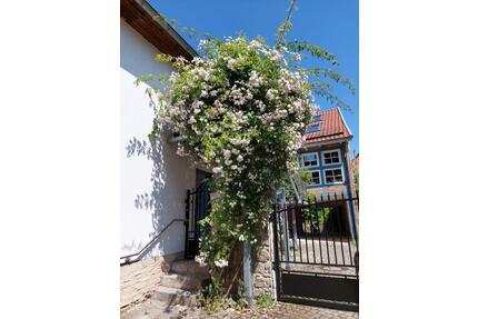 2-Raum-EG-Wohnung in Göttingen OT Roringen
