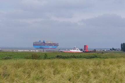 Traumgrundstück am Deich mit Elbblick - Blomesche Wildnis