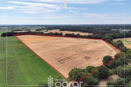 Grundstück zu verkaufen in Mittenwalde Telz 150.000,00 € 129570 m² - Mittenwalde / Telz