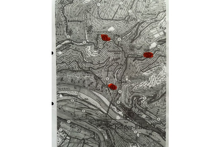 Wald, Hutung Grundstück Parzelle Ediger - Eller - Bruttig-Fankel