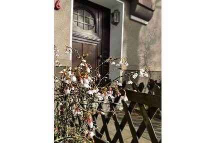Wohnung zum Kaufen in Gelsenkirchen 85.000,00 € 66 m²