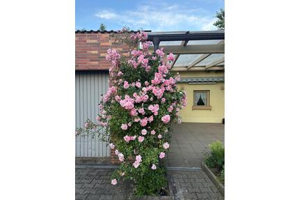 WOHLFÜHLEN in WAIDHAUS: Helle 3-Zi.-Whg., Balkon + Garten