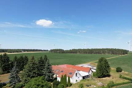 Haus zum Kaufen in Niederer Fläming Waltersdorf 265.000,00 € 260 m² - Niederer Fläming / Waltersdorf