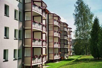renovierte 2-Raum Wohnung mit Balkon - Adorf/Vogtland