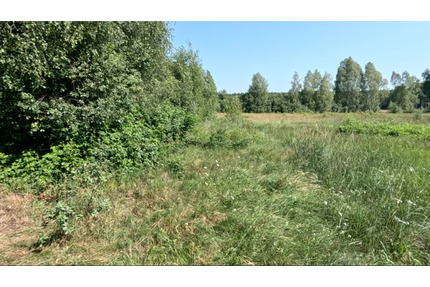 Acker am Bhf Tropical Island - 4.000,00&nbsp;EUR Kaltmiete, ca.&nbsp; 0,00&nbsp;m&sup2; in Schönwald (PLZ: 15910)