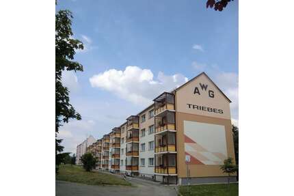 Wohnung zum Mieten in Zeulenroda-Triebes 490,00 € 57.7 m²