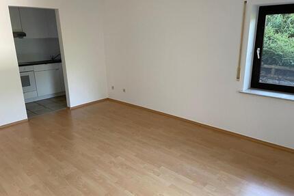 Einliegerwohnung - 450,00&nbsp;EUR Kaltmiete, ca.&nbsp; 30,00&nbsp;m&sup2; in Homburg (PLZ: 66424)