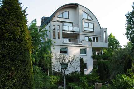 Wohnung zum Mieten in Hanau Steinheim am Main 550,00 € 48 m² - Hanau / Steinheim am Main