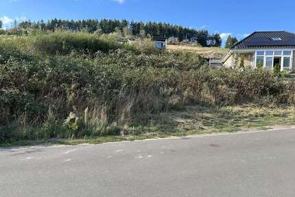 Grundstück zu verkaufen in Traben-Trarbach 60.000,00 € 522 m²