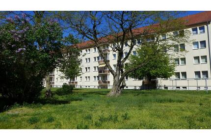 Familienwohnung im Angebot - 382,00&nbsp;EUR Kaltmiete, ca.&nbsp; 58,12&nbsp;m&sup2; in Borna (PLZ: 04552)