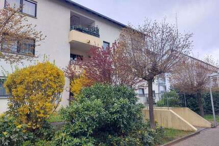 Wohnung zum Kaufen in Karlsruhe 205.000,00 € 60.5 m²