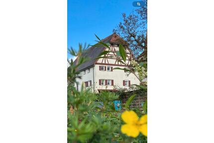 Möblierte 2-Zi-Whg in Bettwar bei Rothenburg - Steinsfeld