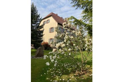 Historisches Kleinod im Spessart - Bischbrunn Oberndorf