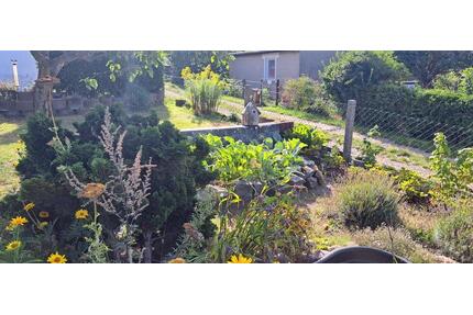 Gepflegter Garten mit Bungalow - 5.000,00&nbsp;EUR Kaltmiete, ca.&nbsp; 0,00&nbsp;m&sup2; in Waren (Müritz) (PLZ: 17192)