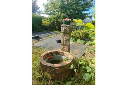 Kleingarten Ribnitz Damgarten Ost Gartenhaus Obstgarten Garten - Ribnitz-Damgarten