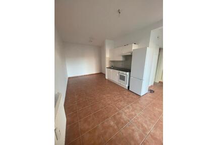 1-Raumwohnung zentral in Greifswald gelegen