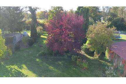 Haus zum Kaufen in Ertingen 539.000,00 € 260 m²