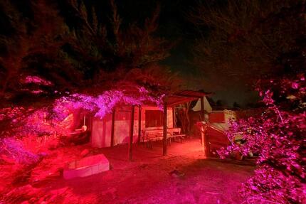 klein garten in Taucha Video in der Beschreibung - Leipzig Altwest