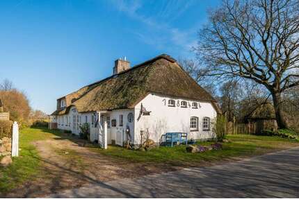 Haus zum Kaufen in Oster-Ohrstedt 390.000,00 € 245 m²