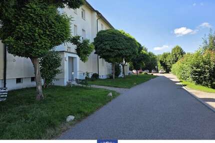Wohnung zum Mieten in Klingenberg 455,00 € 80.02 m²