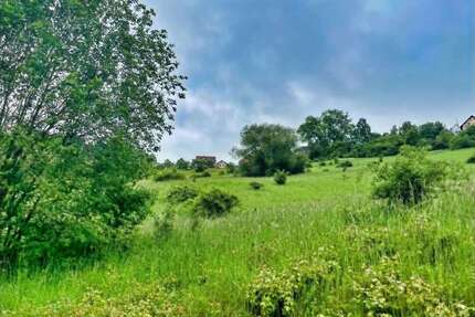 Grundstück in Maroldsweisach 35.000,00 € 23089 m²