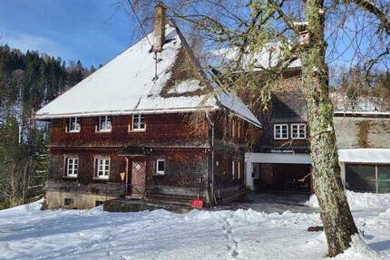 Doppelhof in sonniger Alleinlage und Teilautarkie - Schluchsee Schönenbach