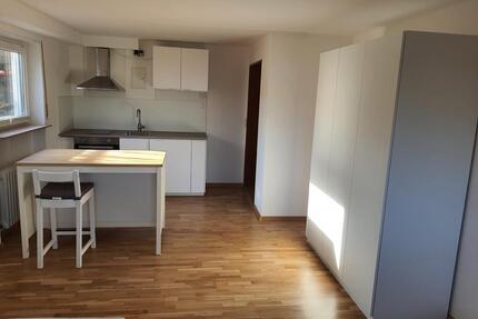 Charmantes Studio-Apartment im Souterrain mit Gartenblick - Weisenheim am Berg