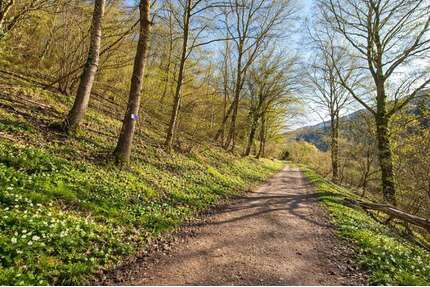 Grundstück zu verkaufen in Dausenau 89.000,00 € 972 m²