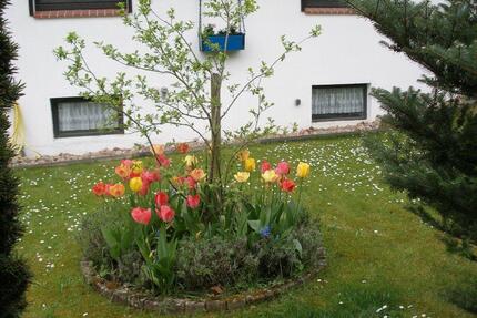 Einfamilienhaus mit 7 Zimmern - 275.000,00&nbsp;EUR Kaufpreis, ca.&nbsp; 215,00&nbsp;m&sup2; in Hitzacker (Elbe) (PLZ: 29456)