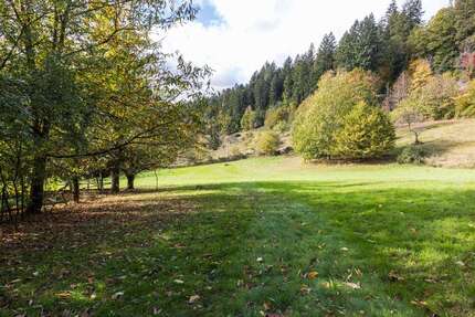Haus zum Kaufen in Baden-Baden 1.190.000,00 € 600 m²