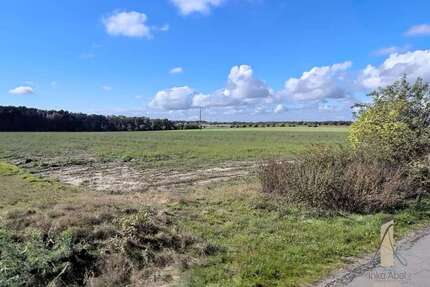 Grundstück zu verkaufen in Osloß 193.800,00 € 646 m²