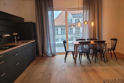 Penthouse mit Dachterrasse – voll möbliert - ab sofort - München Ludwigsvorstadt-Isarvorstadt