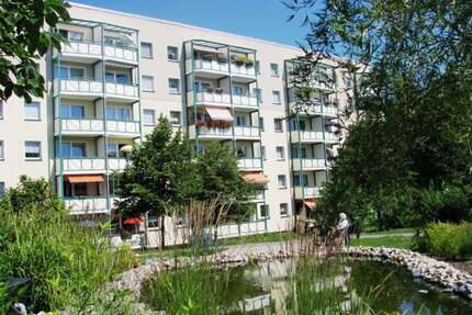 Wohnung zum Mieten in Zwickau 262,20 € 38 m²