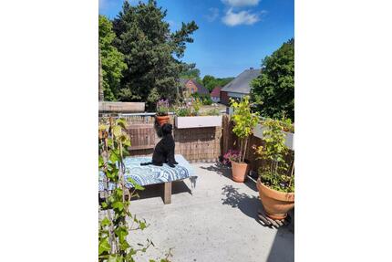 Helle 4 Zimmer Wohnung in Ostseenähe - Schönberg (Holstein)