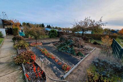 Garten ca. 400 am in Kleingartenverein - Brandenburg an der Havel Bahnhofsvorstadt