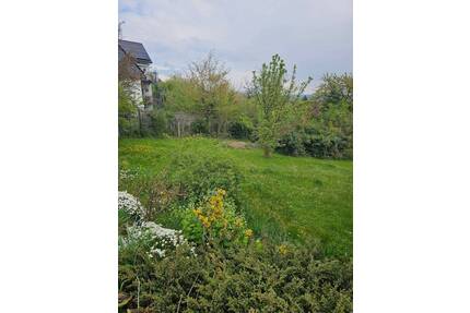 Sie bevorzugen lieber ein kleines Grundstück für Ihr Neubauvorhaben??? - Forchheim Reuth