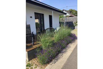 Moderne Wohnung, voll möbliert, ideal für Singlehaushalt - Morbach