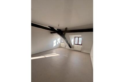1 Zimmer Wohnung 49m2 in Lössnitz - Lößnitz