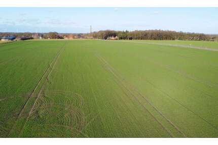 Grundstück zu verkaufen in Mettingen 112.310,00 € 10210 m²