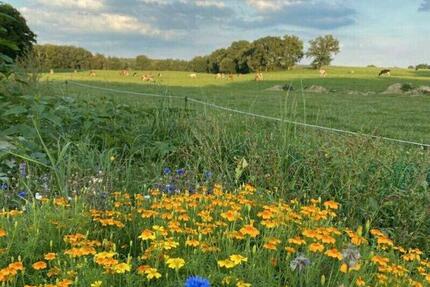 Solawi, Solidarische Landwirtschaft Gemüse Anbau - Trittau