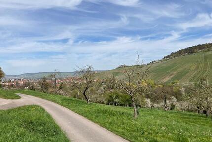 Streuobstwiese mitten in der Natur zu verpachten Kernen-Stetten - Kernen im Remstal