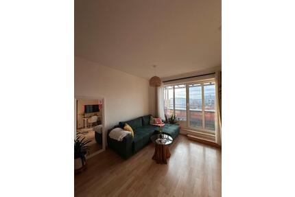 Helle Einraumwohnung mit Dachterrasse - Dresden Blasewitz