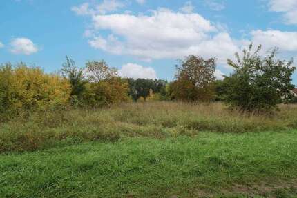 Grundstück zu verkaufen in Forchheim 270.000,00 € 506.02 m²