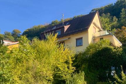 GLOBAL INVEST SINSHEIM | 2-3-Familienhaus in toller Lage von Ziegelhausen mit unverbaubarem Blick - Heidelberg / Ziegelhausen