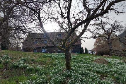 3,5 Zimmer Wohnung in Klosterreichenbach, ruhig und zentral - Baiersbronn