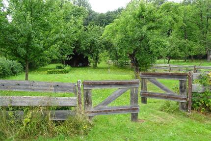Besonderes Häuschen zu vermieten, auch als Ferienhaus möglich - Gerstungen