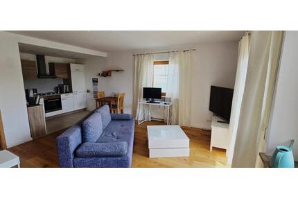 Helles, möbliertes 1-Zimmer-Appartement in UnterahrainEssenbach