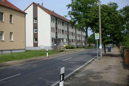 Wohnung zum Mieten in Märkische Heide 260,47 € 46.1 m²