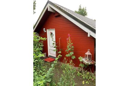 Urlaub mit Hund, Urlab an der Ostsee, Haus am See - Hamburg Groß Borstel